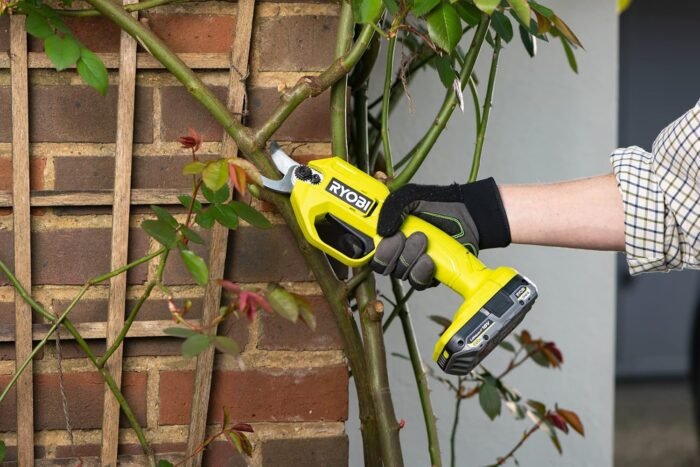 A gardener using Ryobi garden tools secateurs to prune plants, promoting healthy growth.